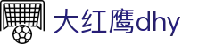 大红鹰dhy(中国)有限公司官网